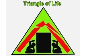 地震时“生命三角”救生法或不可信